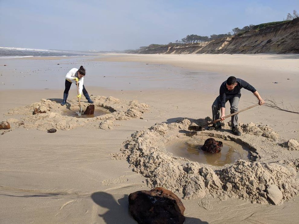 Excavation of more samples